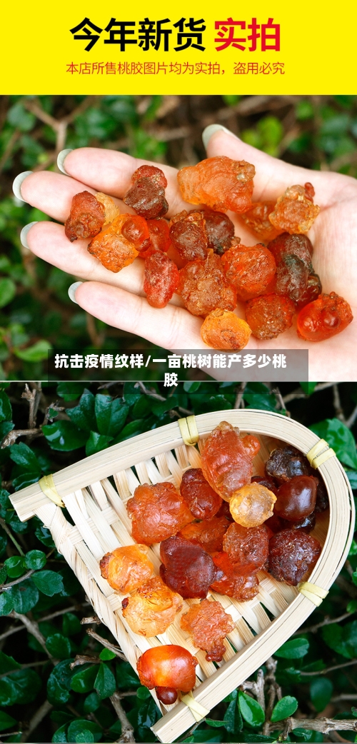 抗击疫情纹样/一亩桃树能产多少桃胶-第3张图片