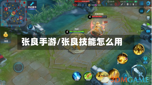 张良手游/张良技能怎么用-第3张图片