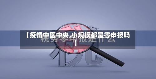 【疫情中医中央,小规模都是零申报吗】-第2张图片