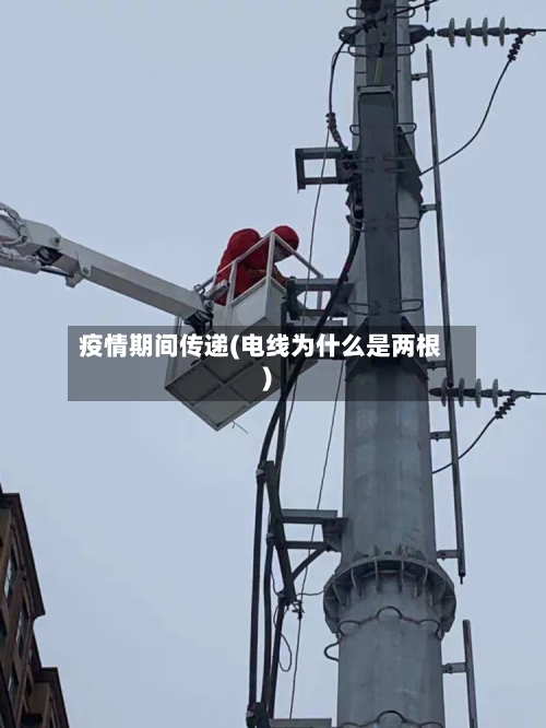 疫情期间传递(电线为什么是两根)-第3张图片