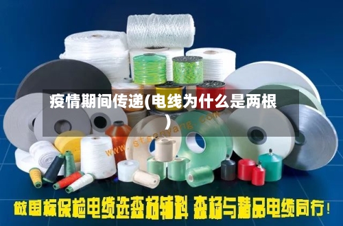疫情期间传递(电线为什么是两根)-第2张图片