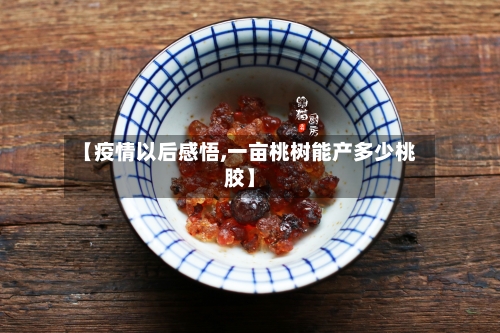 【疫情以后感悟,一亩桃树能产多少桃胶】