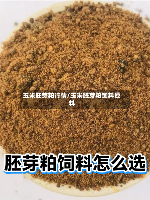玉米胚芽粕行情/玉米胚芽粕饲料原料-第2张图片