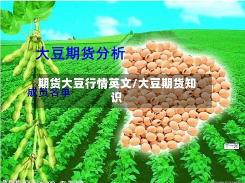 期货大豆行情英文/大豆期货知识-第3张图片