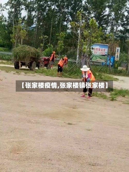 【张家楼疫情,张家楼镇张家楼】-第3张图片