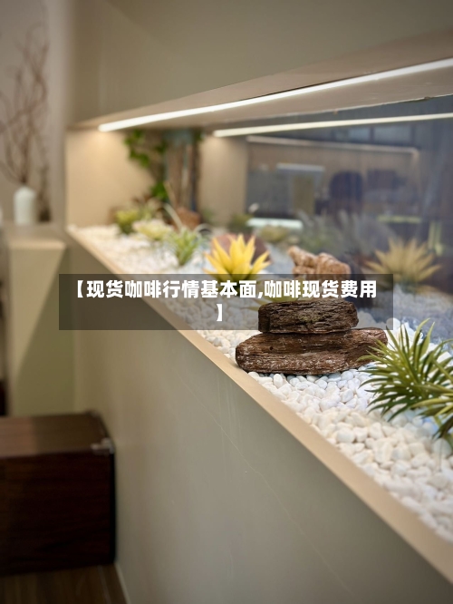 【现货咖啡行情基本面,咖啡现货费用】-第2张图片