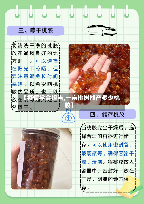 【疫情学会担当,一亩桃树能产多少桃胶】