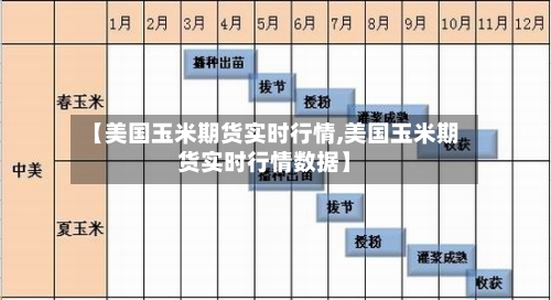 【美国玉米期货实时行情,美国玉米期货实时行情数据】-第3张图片