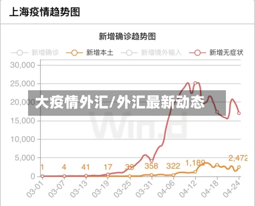 大疫情外汇/外汇最新动态