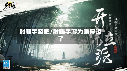 射雕手游吧/射雕手游为啥停运了-第2张图片