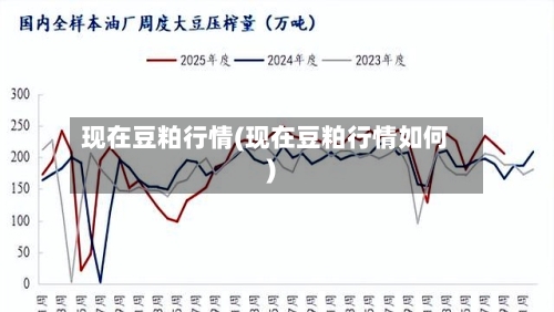 现在豆粕行情(现在豆粕行情如何)
