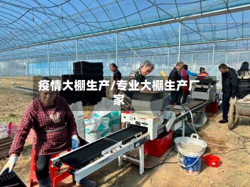 疫情大棚生产/专业大棚生产厂家