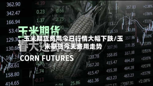 玉米期货费用今日行情大幅下跌/玉米期货今天费用走势-第2张图片