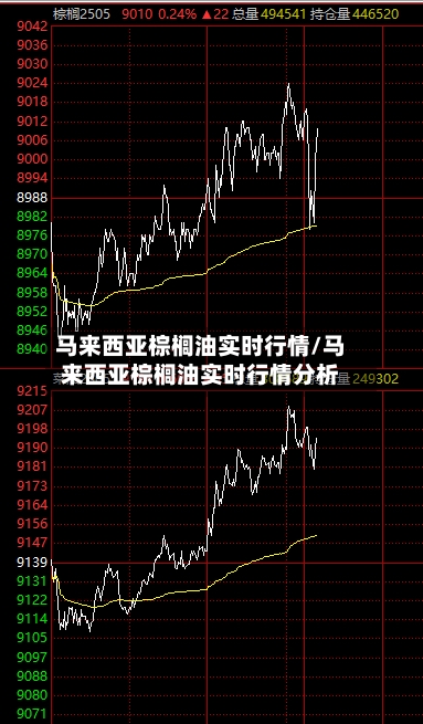 马来西亚棕榈油实时行情/马来西亚棕榈油实时行情分析