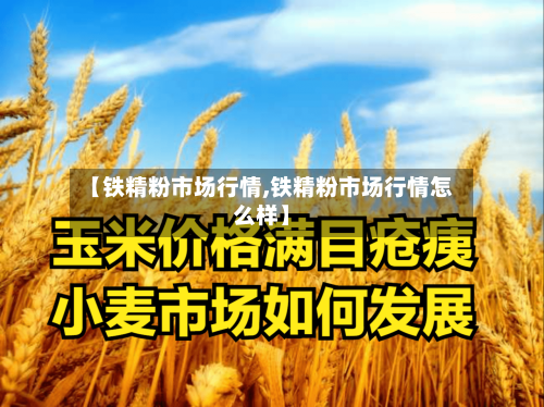 【铁精粉市场行情,铁精粉市场行情怎么样】