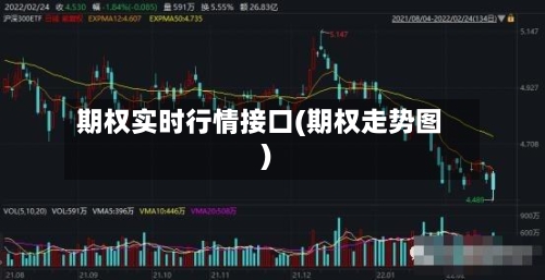 期权实时行情接口(期权走势图)