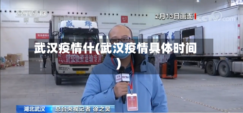 武汉疫情什(武汉疫情具体时间)