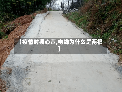 【疫情时期心声,电线为什么是两根】