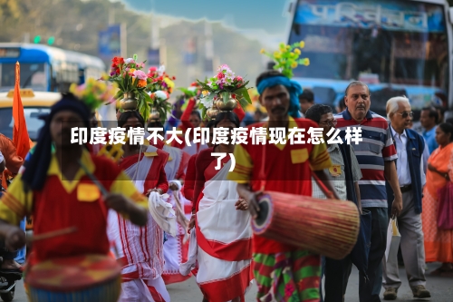 印度疫情不大(印度疫情现在怎么样了)