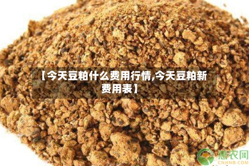 【今天豆粕什么费用行情,今天豆粕新费用表】