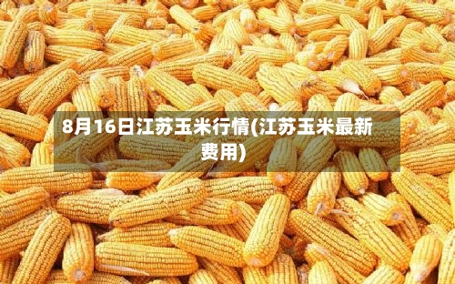 8月16日江苏玉米行情(江苏玉米最新费用)