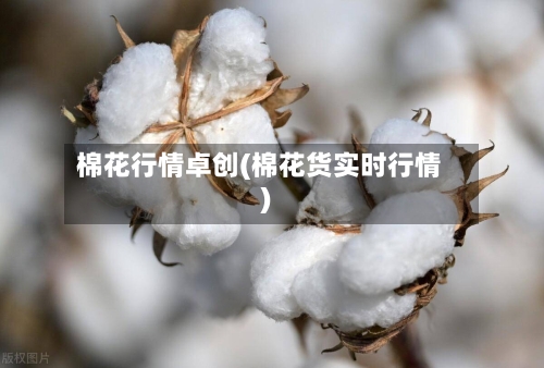 棉花行情卓创(棉花货实时行情)-第2张图片