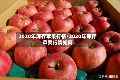 2020年库存苹果行情/2020年库存苹果行情如何-第2张图片