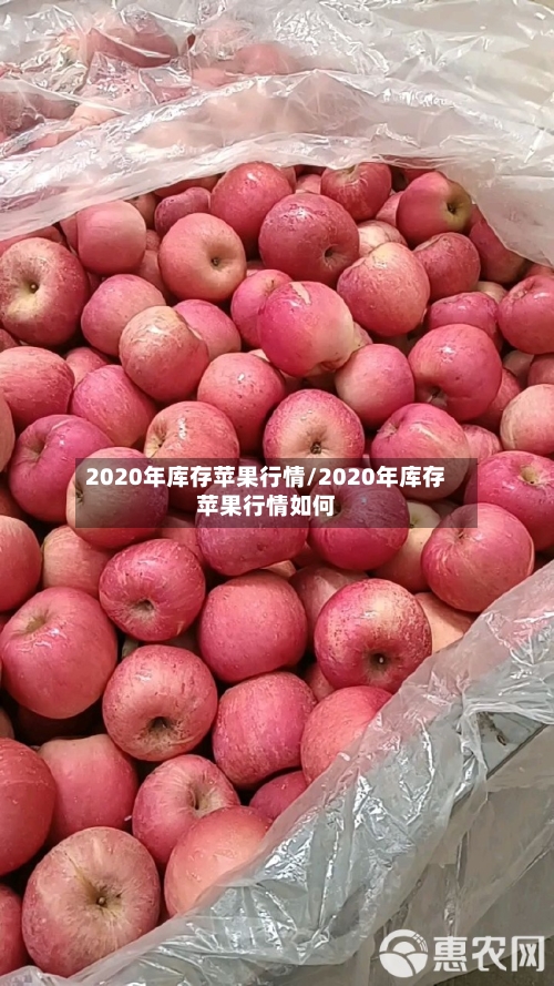 2020年库存苹果行情/2020年库存苹果行情如何-第3张图片