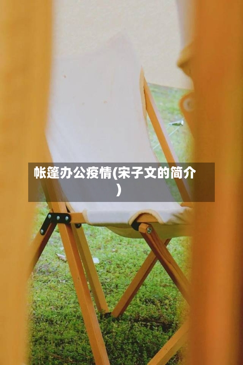 帐篷办公疫情(宋子文的简介)