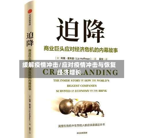 缓解疫情冲击/应对疫情冲击与恢复经济增长