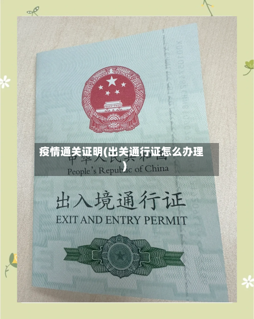 疫情通关证明(出关通行证怎么办理)-第2张图片
