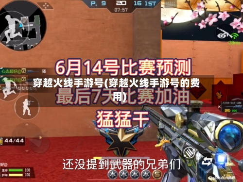 穿越火线手游号(穿越火线手游号的费用)