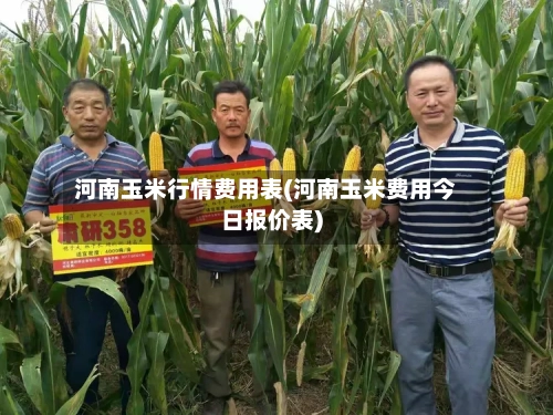 河南玉米行情费用表(河南玉米费用今日报价表)-第3张图片