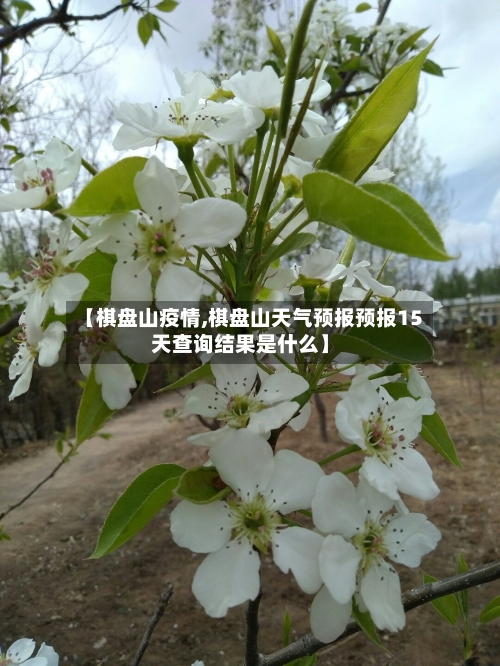 【棋盘山疫情,棋盘山天气预报预报15天查询结果是什么】