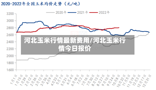 河北玉米行情最新费用/河北玉米行情今日报价