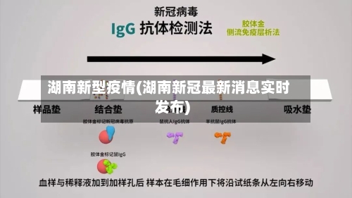 湖南新型疫情(湖南新冠最新消息实时发布)-第3张图片
