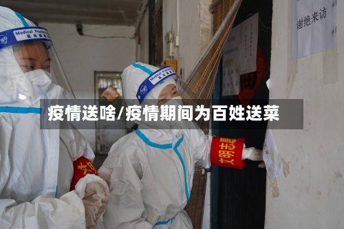 疫情送啥/疫情期间为百姓送菜