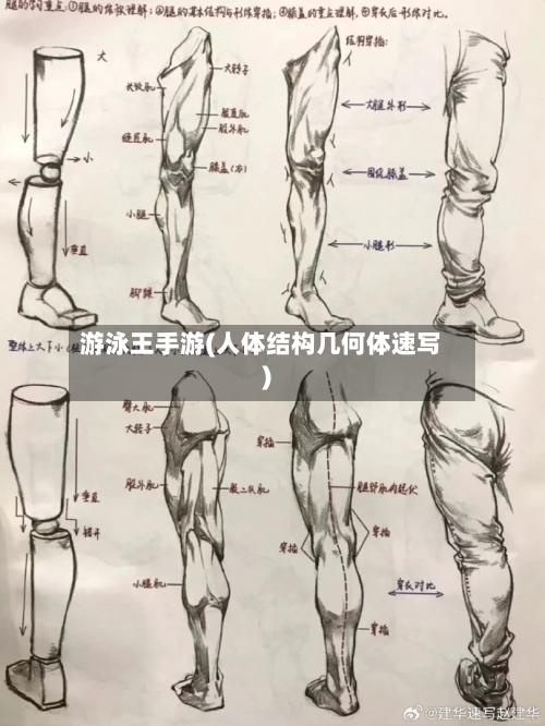 游泳王手游(人体结构几何体速写)