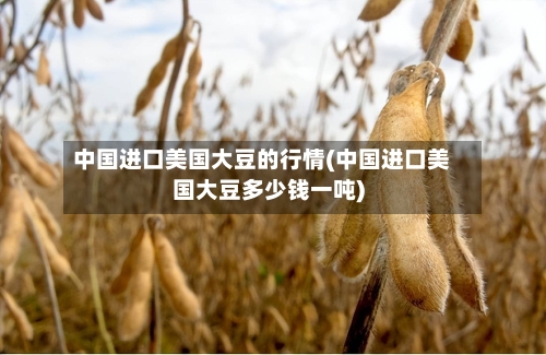 中国进口美国大豆的行情(中国进口美国大豆多少钱一吨)-第3张图片