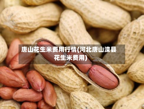唐山花生米费用行情(河北唐山滦县花生米费用)-第2张图片