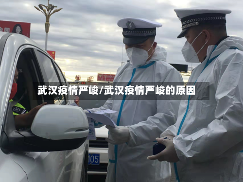 武汉疫情严峻/武汉疫情严峻的原因-第2张图片