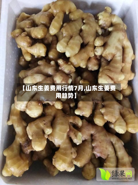 【山东生姜费用行情7月,山东生姜费用趋势】