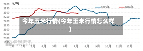 今年玉米行情(今年玉米行情怎么样)-第2张图片