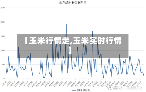 【玉米行情走,玉米实时行情】