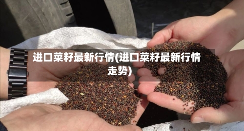进口菜籽最新行情(进口菜籽最新行情走势)