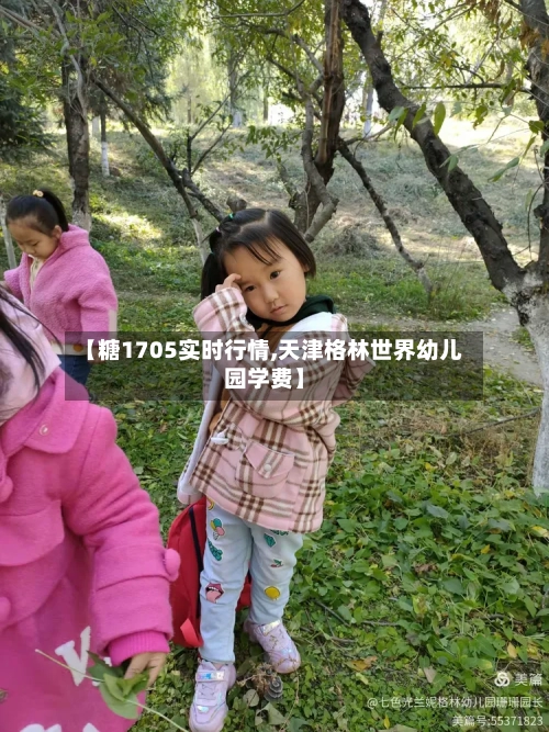 【糖1705实时行情,天津格林世界幼儿园学费】-第2张图片