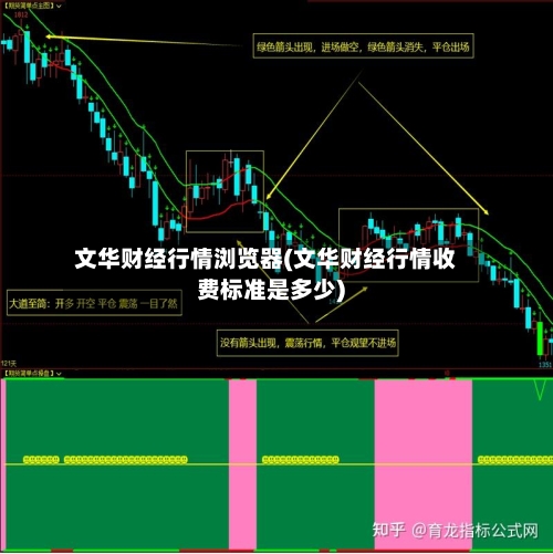 文华财经行情浏览器(文华财经行情收费标准是多少)-第2张图片