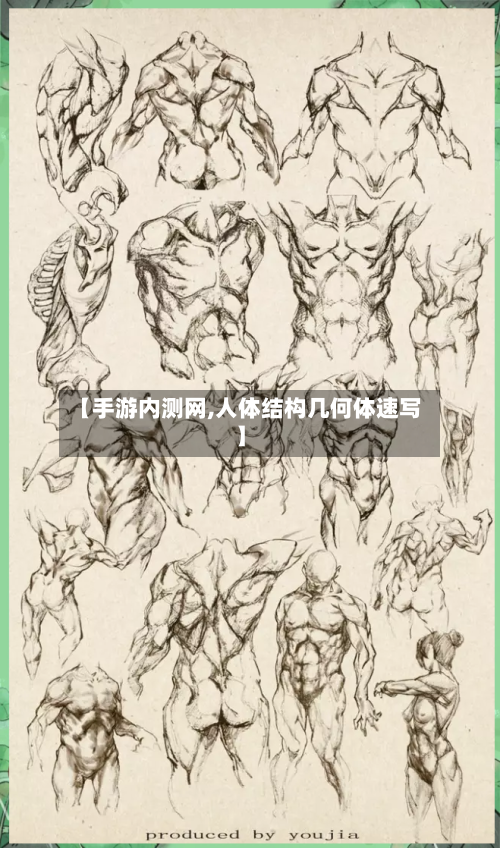 【手游内测网,人体结构几何体速写】
