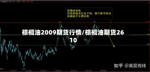 棕榈油2009期货行情/棕榈油期货2610-第2张图片