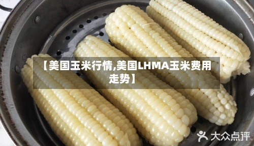 【美国玉米行情,美国LHMA玉米费用走势】-第3张图片